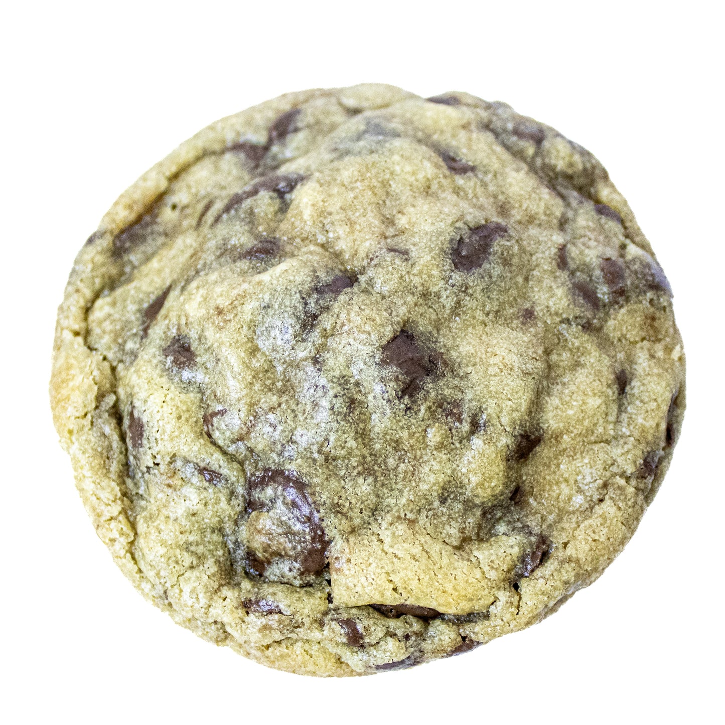 Chocolate Chip Cookie